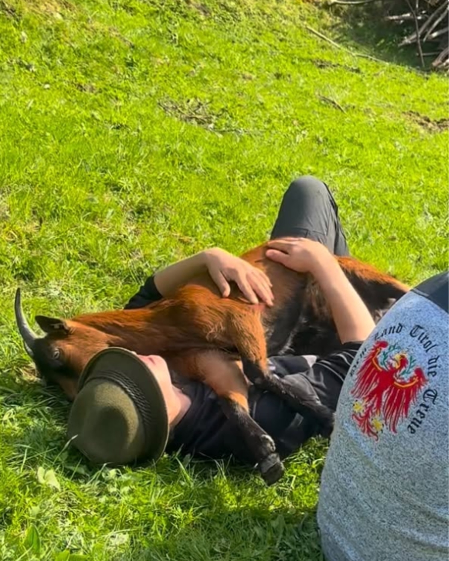 Unsere Tiere